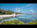Lauv - I Like Me Better (Lyrics)