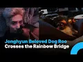 Download Lagu SHINee Jonghyun’s Dog \
