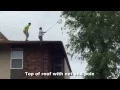 Cat in a tree for 5 days is rescued by WAAL