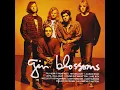 Lagu Don't Miss Gin' Blossom's Hit Hits- Very Best Of Gin Blossom Playlist
