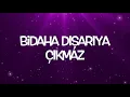 Hadise- Aşk Dediğin (Lyrics)
