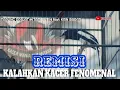 Download Lagu REMISI KALAHKAN KACER TERMAHAL SEJAGAT RAYA🔥🔥TARUNG DRAJAT HITAM PUTIH feat KMN BARAT