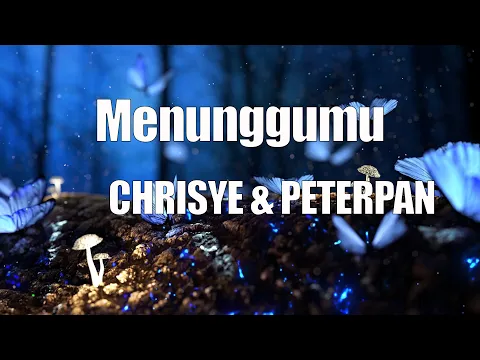 Download MP3 Chrisye feat. Peterpan - Menunggumu