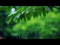 Download Lagu [명상음악] 🌙 3분 만에 잠드는 수면유도 힐링음악 🎶 숙면·불면증 완화·마음 치유