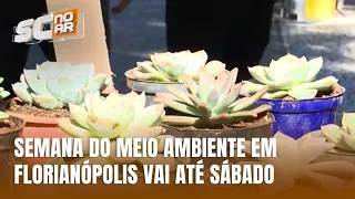 Semana do Meio Ambiente tem atividades até sábado em Florianópolis