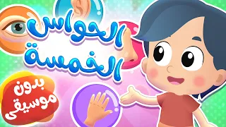 أغنية الحواس الخمسة بدون موسيقى قناة هدهد Hudhud  أغنية الحواس الخمسة بدون موسيقى قناة هدهد Hudhud