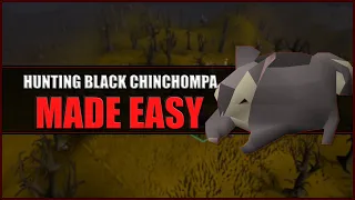 Quick Guide to Hunting Black Chinchompas in OSRS Hunter Guide