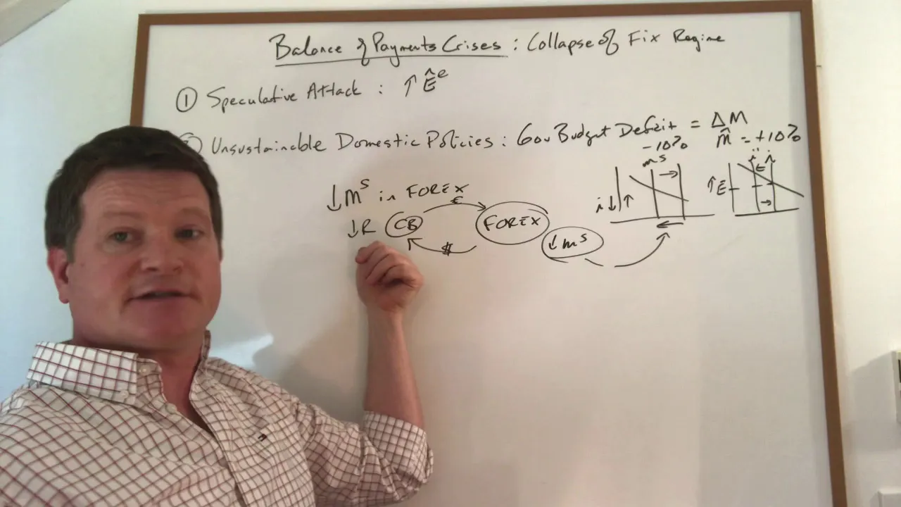Balance of Payments Crises