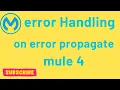 Understanding On Error Propagate in Mule 4 Error Handling Tutorial