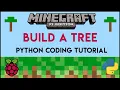 Minecraft Pi - Build a Tree Using Python