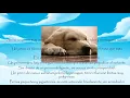 Sonar con perro Misabueso com