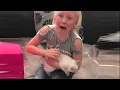 Download Lagu People Get Surprised With Kittens On Christmas - Wholesome Kitten Surprise