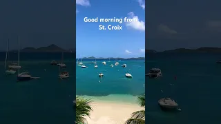 Good morning from St. Croix, USVI #shorts #short #travel #beach