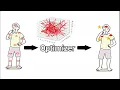 SenSO Sensor Simulation and Optimization Platform for Human Activity Recognition