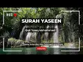Download Lagu Surah Yaseen - Recitation By Qari Tariq Mohammed