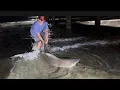 Something Massive Hit Our Line at a Texas Pier