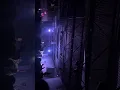 Renaissance live (nobigdyl)￼