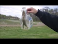 catching a striped gopher