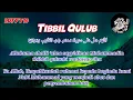 Download Lagu Lirik Tibbil Qulub versi rock metal gothic