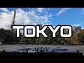 Download Lagu Kawaii Sparkle: Sweet Anime Beats \u0026 Electric Drops at Tokyo Tower 🎀✨🗼