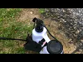 Harbor Freight Greenwood 4 Gallon Backpack Sprayer - Quick Review
