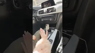 بي ام دبليو حالات واتس 