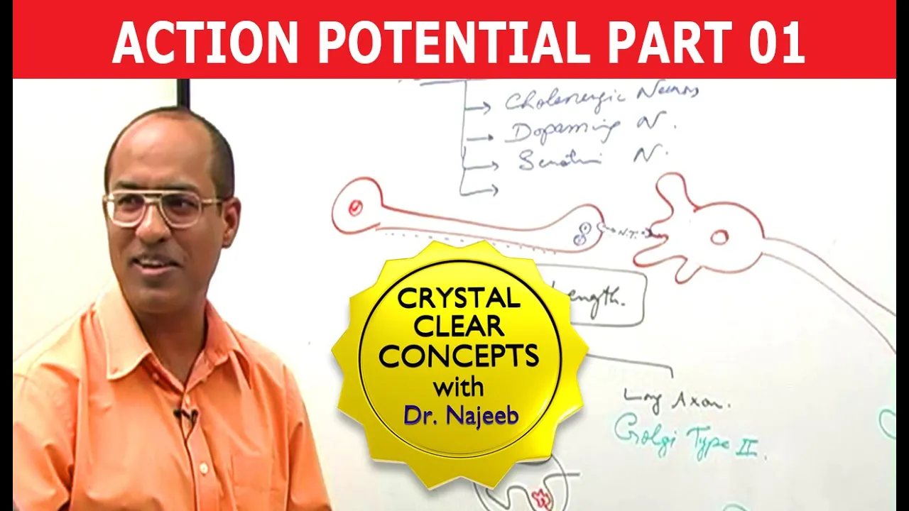 Action Potential | Part 1/3