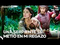 Download Lagu Intento De Ataque Con Cuchillo En El Palacio De Sultan Suleimán | El Sultán