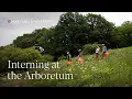 An inside look at the Arnold Arboretum s Hunnewell Internship Program