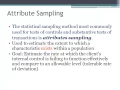 Attribute Sampling in Auditing