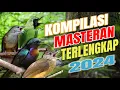Download Lagu CUCAK CUNGKOK GACOR FULL TEMBAKAN NILAI TERTINGGI DI ARENA LOMBA (11114)