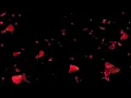 Awaken I Am - Roses (Slowed & Reveb)