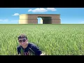 gm - flatgrass so native