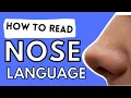 The ULTIMATE Nose Body Language Guide How to Read Nose Behavior