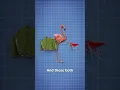 Download Lagu Why Flamingos Are Pink 🤔