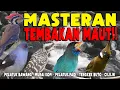Download Lagu MASTERAN MURAI BATU TEMBAKAN MAUT‼️ CILILIN,PELATUK SAMPIT,PELATUK BAWANG,MURAI KOPI,TENGKEK‼️