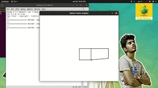 Drawing house by python