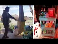 UPS Driver s Reaction to Snacks Is Priceless