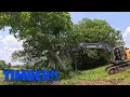 Download Lagu Massive Tree Removal Gone Hilariously Wrong For Aaron!