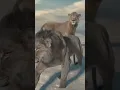 Download Lagu Mufaza The Lion King yakaladım seni ;)