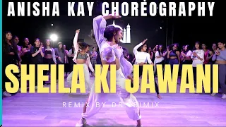 Download SHEILA KI JAWANI REMIX | ANISHA KAY CHOREOGRAPHY | DR. SRIMIX | KATRINA KAIF | DANCE CHOREOGRAPHY MP3