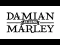 Damian Marley ft Stephen Marley - The Mission (lirik)