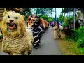 Download Lagu Asmr Lion Dance and Drumband Parade in the Village Of  Maesan