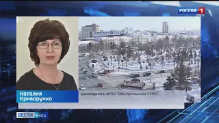 В Омске на этой неделе ожидают плюсовую температуру и штормовой ветер