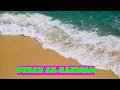 Surah ar-Rahman|saikh abdur rahman as sudais|beautiful tiwat