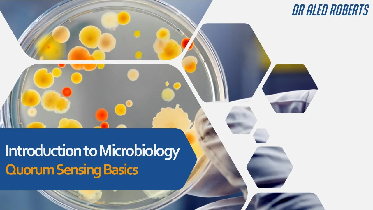 Quorum Sensing Basics