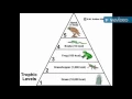 Energy Pyramid Basics