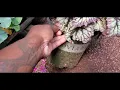 Garden center walk through Holods garden hardware and rental center