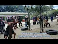Download Lagu Pencak Silat Dayak ( Kuntau ) Juara 1 Lomba Lawang  Sakepeng Festival Budaya Tira Tangka Balang 2024