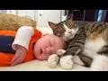 Download Lagu When your cat is the best babysitter 👶❤️🐱 Cute cats and little human